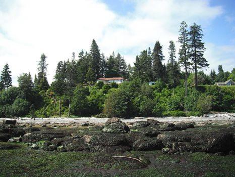 Edgewater Motel Campbell River Exterior photo